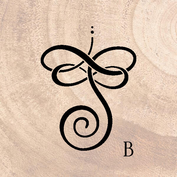 Four Wings Wellness - First Iterations V2